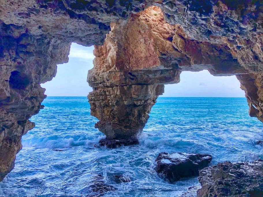 La Urbanizacion Cerca Del Mar Διαμέρισμα Denia Εξωτερικό φωτογραφία